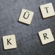 Türk – Kürt Münasebetinin Tarihi Gelişimi